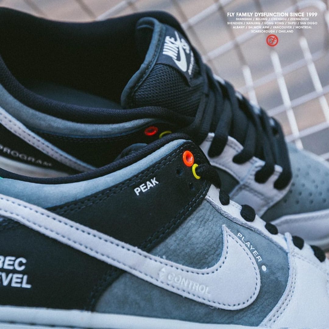 Nike SB Dunk Low Camcorder