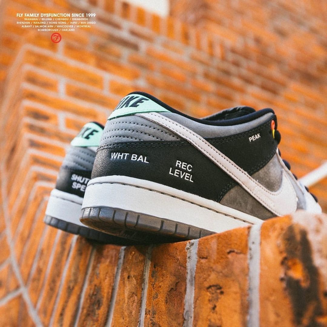 Nike SB Dunk Low Camcorder