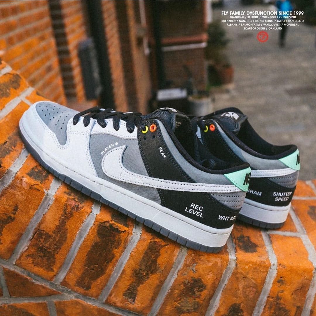 Nike SB Dunk Low Camcorder