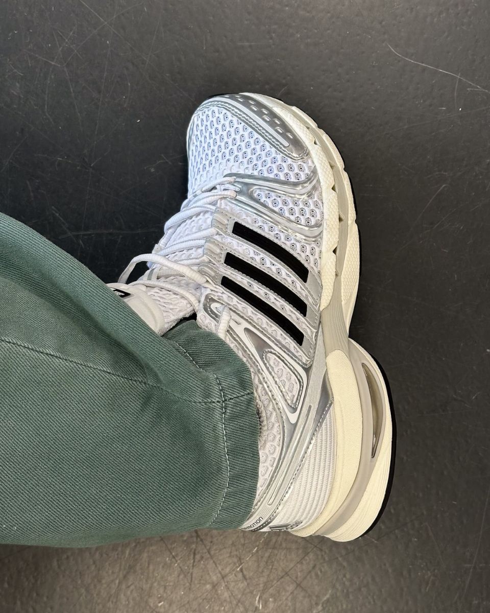 Adidas Adistar Control 5 JQ4168 On Feet