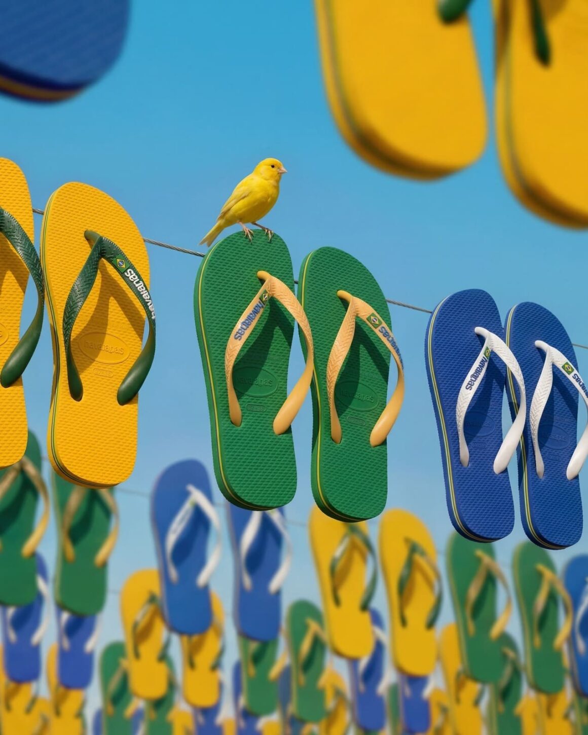 Havaianas Brazil Logo 4110850.2079 4110850.1740 Hanging Bird