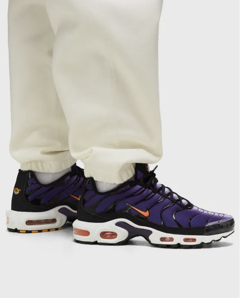 Nike Air Max Plus Voltage Purple DX0755-500 On Feet