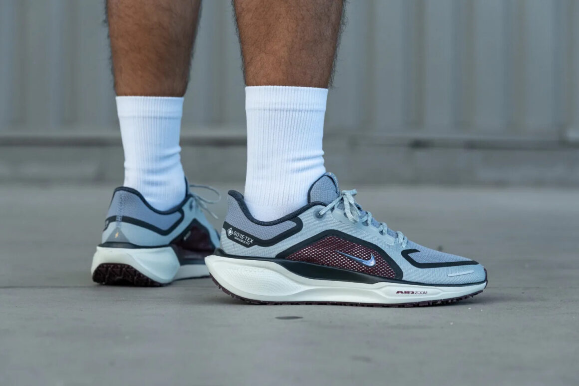 Nike Pegasus 41 GTX FQ1357-003 On Feet