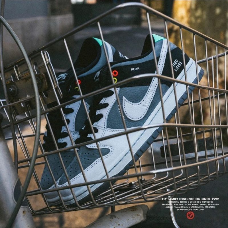 Nike SB Dunk Low Camcorder