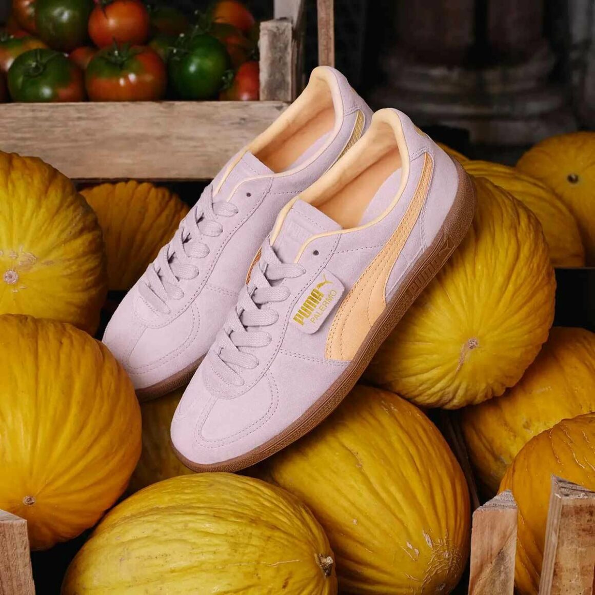 Puma Palermo lila 396463-06 Mood