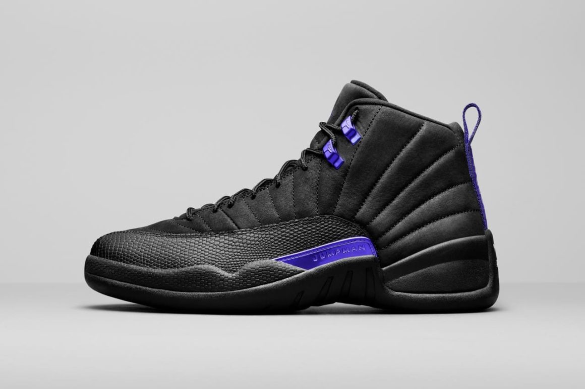 air-jordan-12-dark-concord-CT8013-005